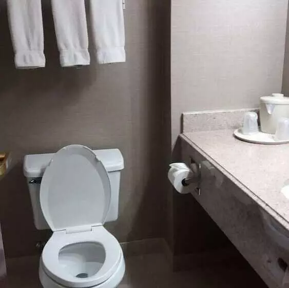 スイート, Holiday Inn Express Hotel & Suites Waterford, An Ihg