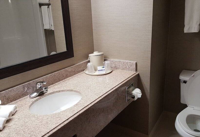 Люкс, Holiday Inn Express Hotel & Suites Waterford, An Ihg