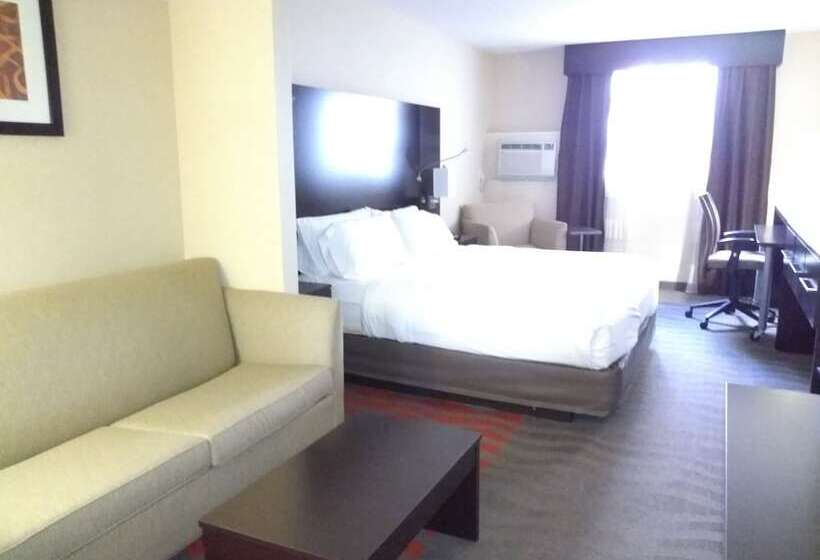 סוויטה, Holiday Inn Express Hotel & Suites Waterford, An Ihg