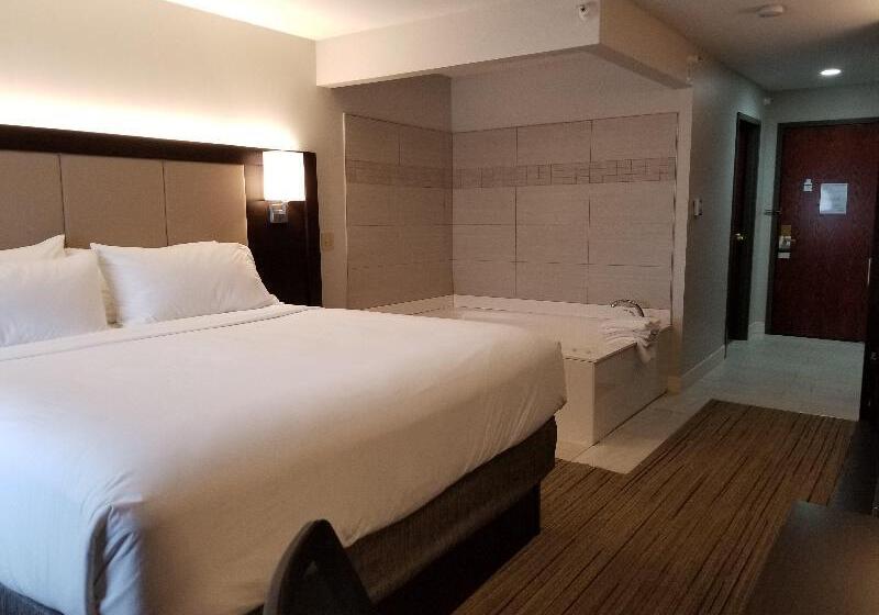 Standard Szoba King Size Bed, Holiday Inn Express Birch Run Frankenmuth Area, An Ihg