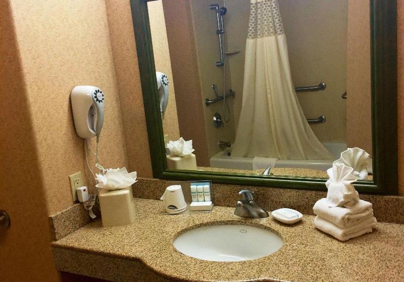 Standard Szoba King Size Bed, Holiday Inn Express Birch Run Frankenmuth Area, An Ihg