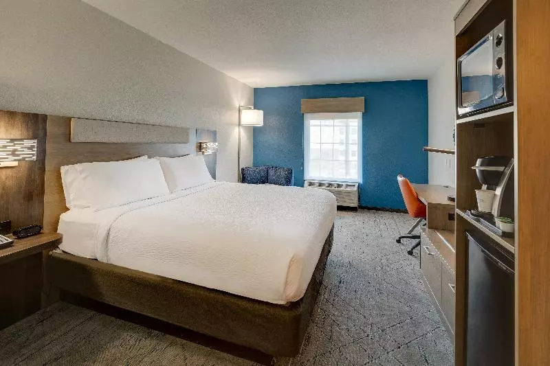 Standard-huone King-vuode, Holiday Inn Express I 95 Capitol Beltway Largo, An Ihg