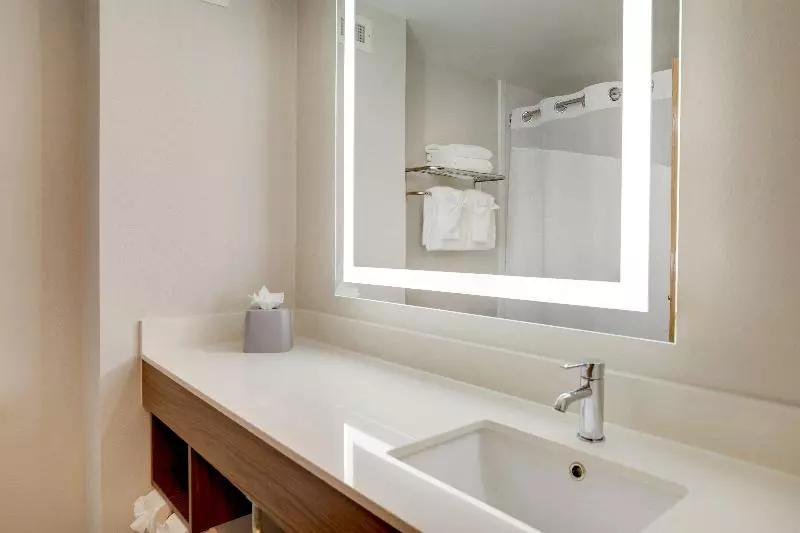 Standard-huone, Holiday Inn Express I 95 Capitol Beltway Largo, An Ihg