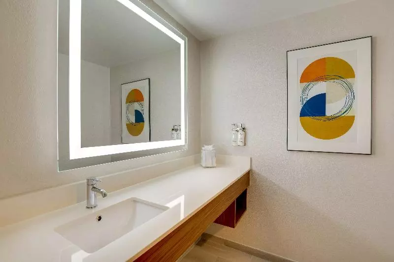 Standard-huone, Holiday Inn Express I 95 Capitol Beltway Largo, An Ihg