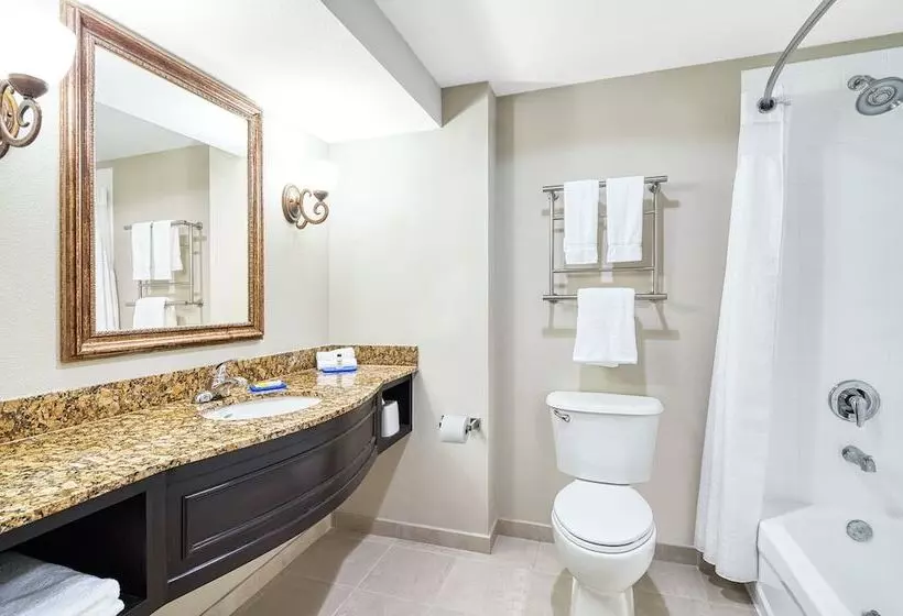 スタンダードルーム, Holiday Inn Express & Suites Miami Kendall, An Ihg