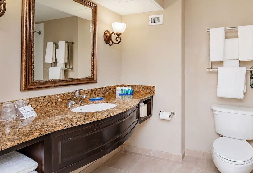 جناح لذوى الاحتياجات الخاصة, Holiday Inn Express & Suites Miami Kendall, An Ihg