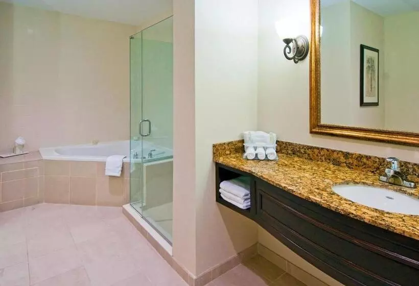 キングサイズベッドのスタンダードルーム, Holiday Inn Express & Suites Miami Kendall, An Ihg