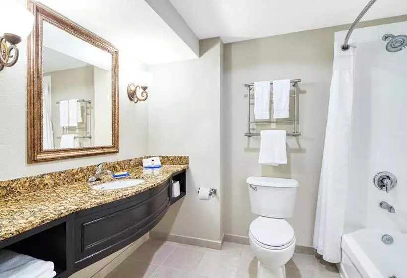 身障者適用スタンダードルーム, Holiday Inn Express & Suites Miami Kendall, An Ihg