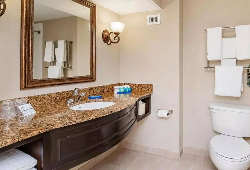 キングサイズベッドのスイートルーム, Holiday Inn Express & Suites Miami Kendall, An Ihg