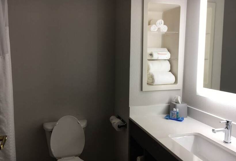 스위트, Holiday Inn Express And Suites Thomasville, An Ihg