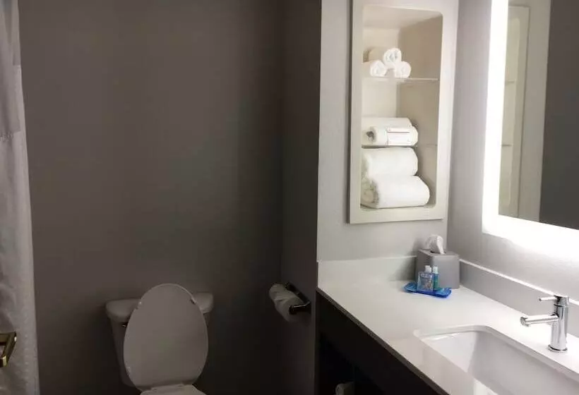 スイート, Holiday Inn Express And Suites Thomasville, An Ihg