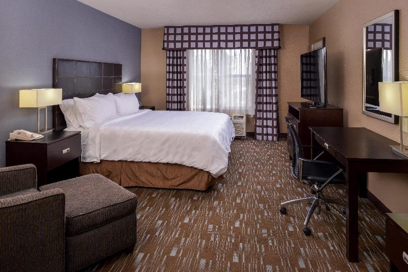 스탠다드 룸 킹사이즈 침대, Holiday Inn Ontario Airport   California, An Ihg