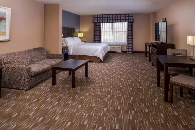 キングサイズベッドのエクゼクティブ, Holiday Inn Ontario Airport California, An Ihg
