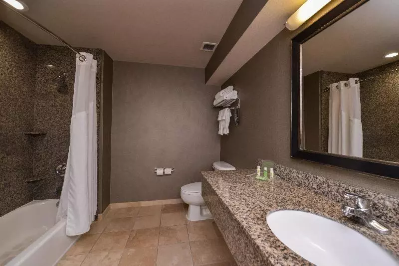 キングサイズベッドのエクゼクティブ, Holiday Inn Ontario Airport California, An Ihg