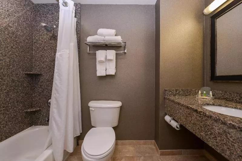キングサイズベッドのエクゼクティブ, Holiday Inn Ontario Airport California, An Ihg