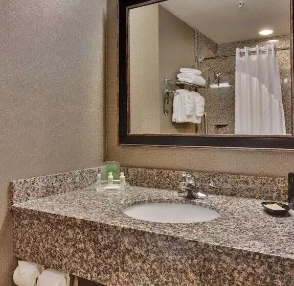 身障者適用スイートルーム, Holiday Inn Ontario Airport California, An Ihg