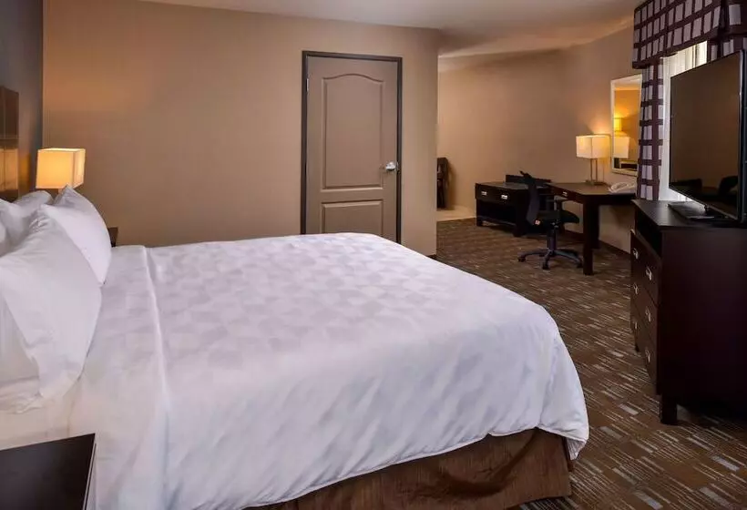 身障者適用スイートルーム, Holiday Inn Ontario Airport California, An Ihg