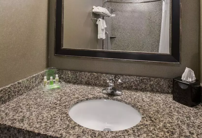 身障者適用スイートルーム, Holiday Inn Ontario Airport California, An Ihg