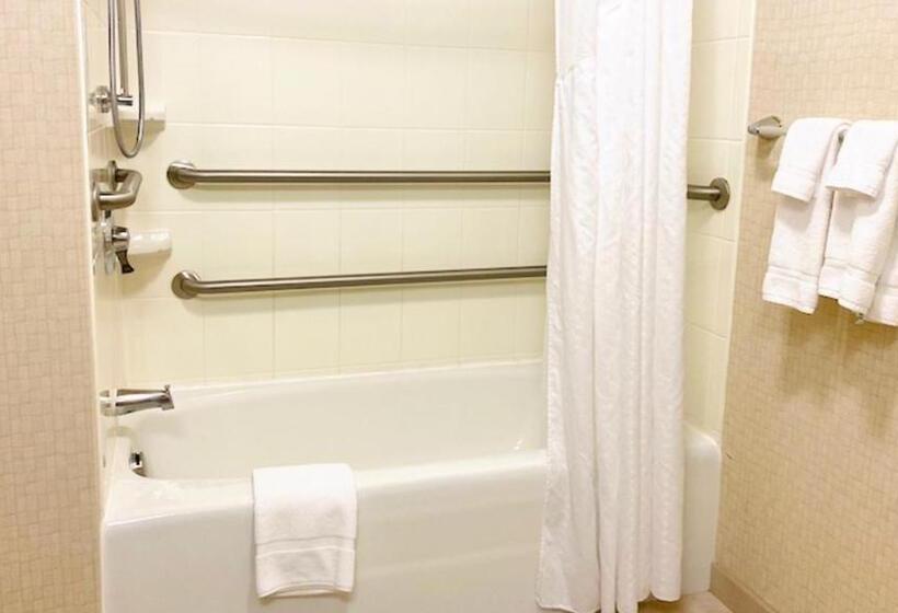 이그제큐티브 스위트 킹침대, Holiday Inn & Suites Bakersfield, An Ihg