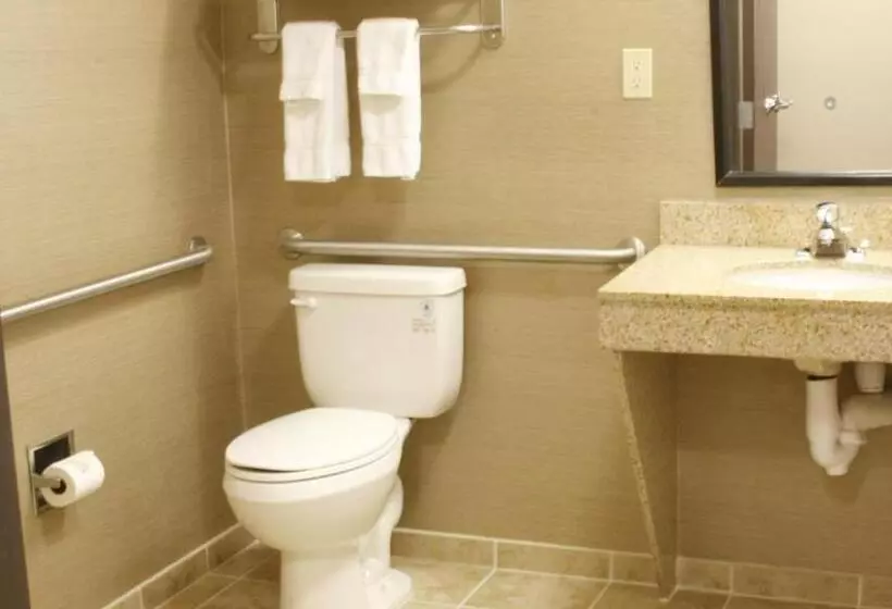 キングサイズベッドのエクゼクティブ, Holiday Inn & Suites Bakersfield, An Ihg