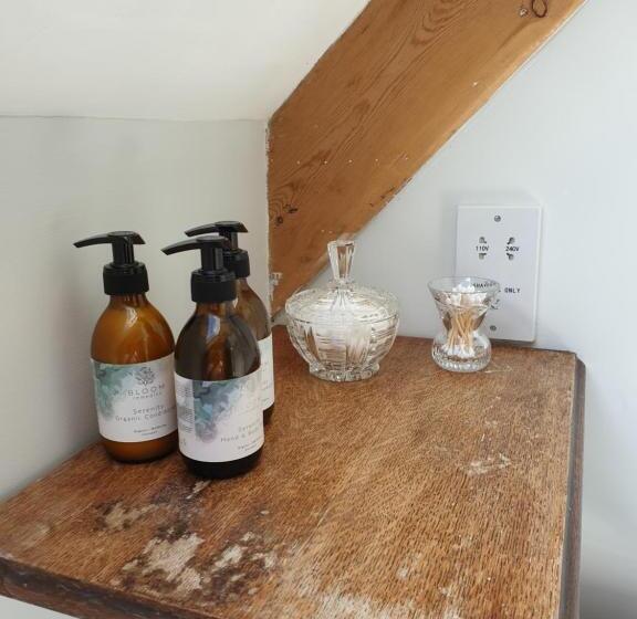 חדר דלוקס, Selkies Nqy