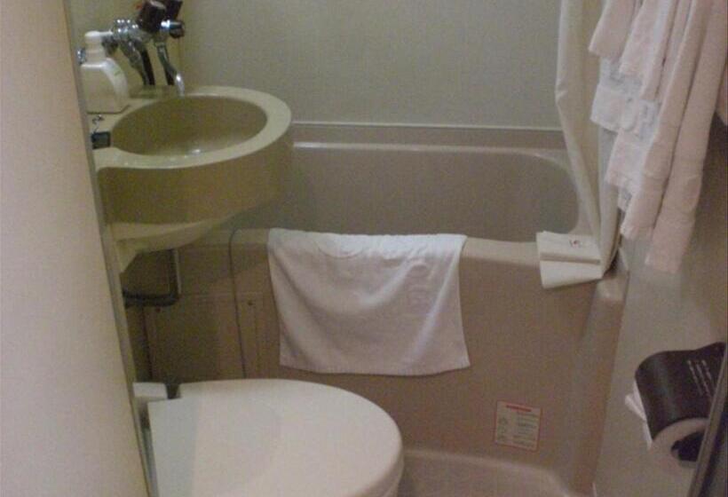 غرفة قياسية فردية, Crown Hills Himeji