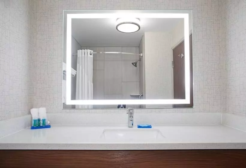 スタンダードルーム, Holiday Inn Express Hotel & Suites Fort Collins, An Ihg