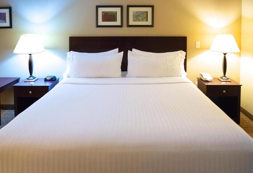스탠다드 룸 킹사이즈 침대, Holiday Inn Express Devils Lake, An Ihg