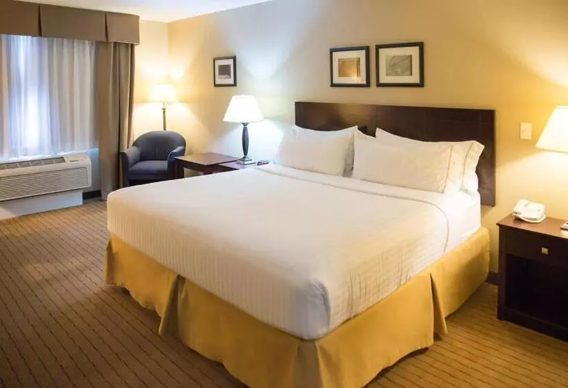 سوئیت با تخت بزرگ, Holiday Inn Express Devils Lake, An Ihg