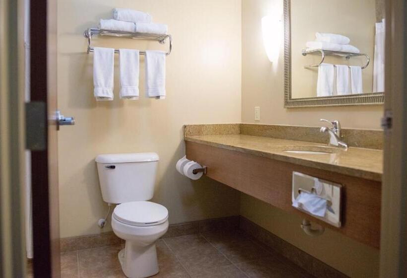 带大床的套房, Holiday Inn Express Devils Lake, An Ihg