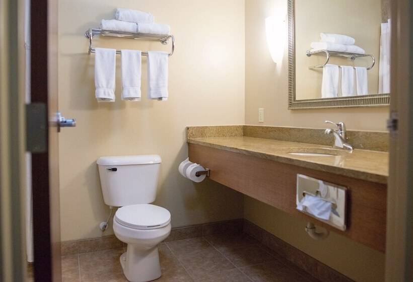 套房, Holiday Inn Express Devils Lake, An Ihg