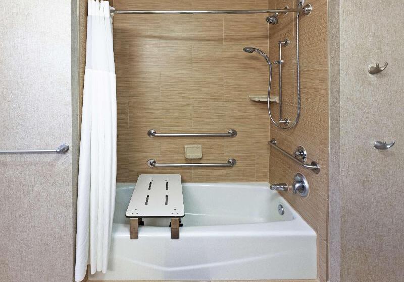 带大床的套房, Holiday Inn Express Devils Lake, An Ihg