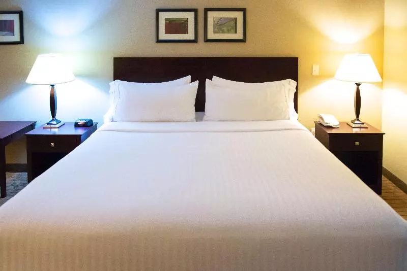 اتاق استاندارد با تخت بزرگ, Holiday Inn Express Devils Lake, An Ihg