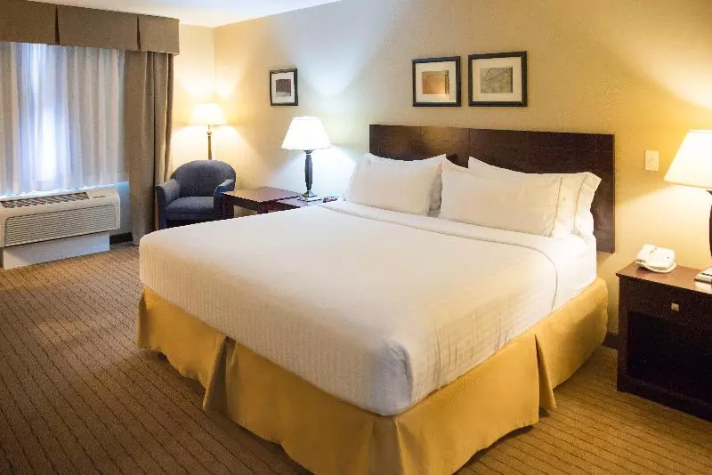 اتاق استاندارد با تخت بزرگ, Holiday Inn Express Devils Lake, An Ihg