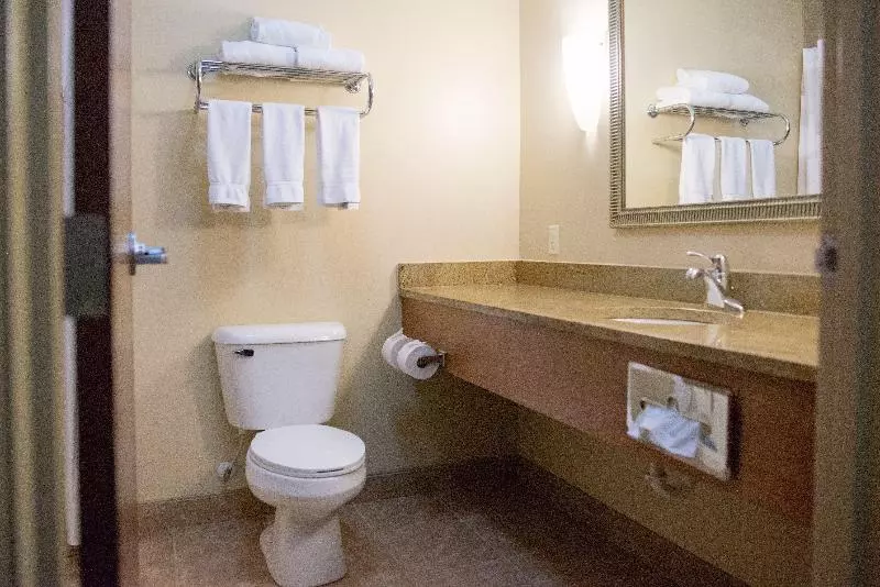 اتاق استاندارد با تخت بزرگ, Holiday Inn Express Devils Lake, An Ihg