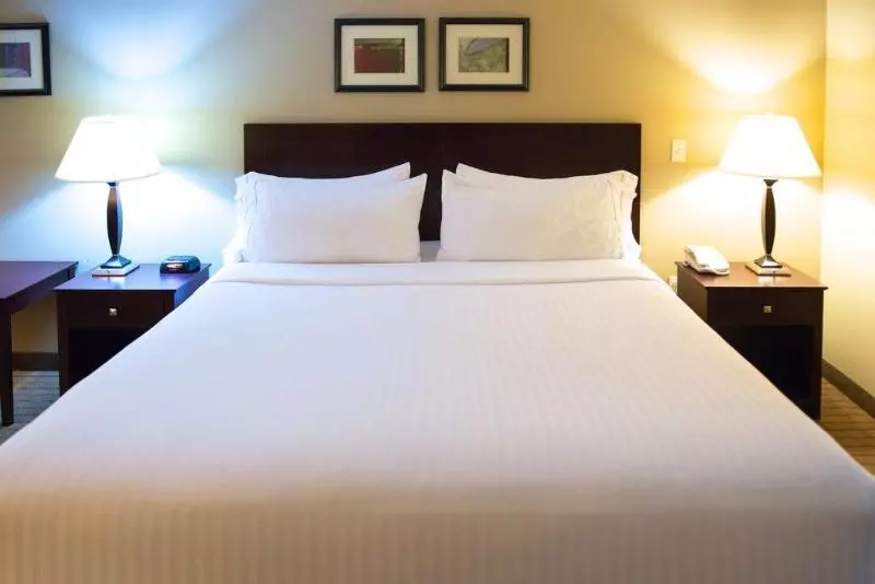 اتاق استاندارد با تخت بزرگ برای معلولان, Holiday Inn Express Devils Lake, An Ihg