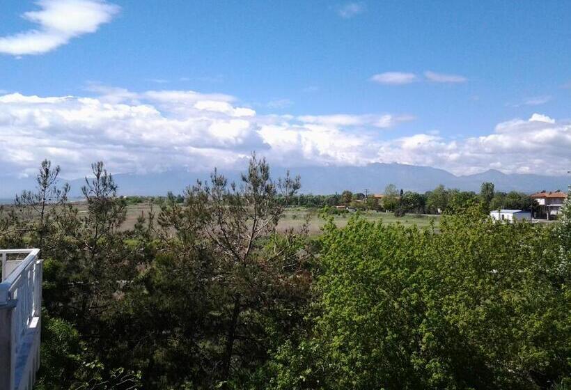 اتاق استاندارد با چشم‌انداز کوهستان, Lidra