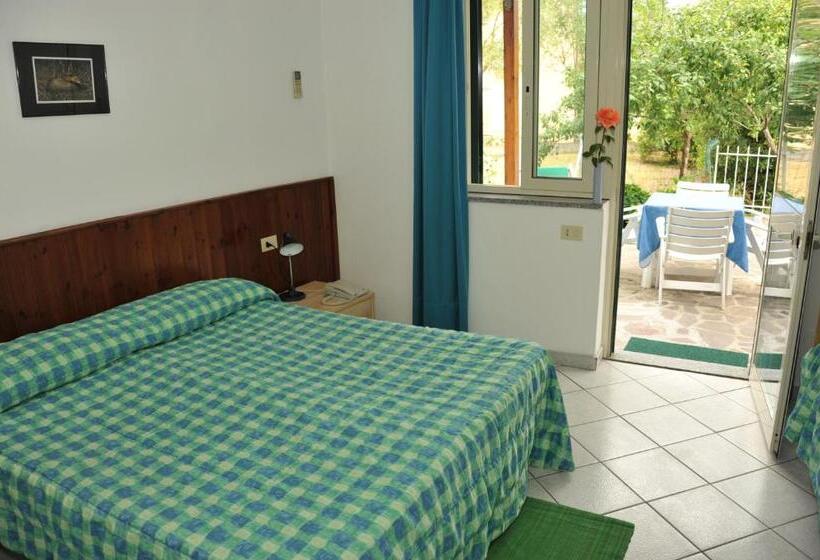 四人标准间, Edera