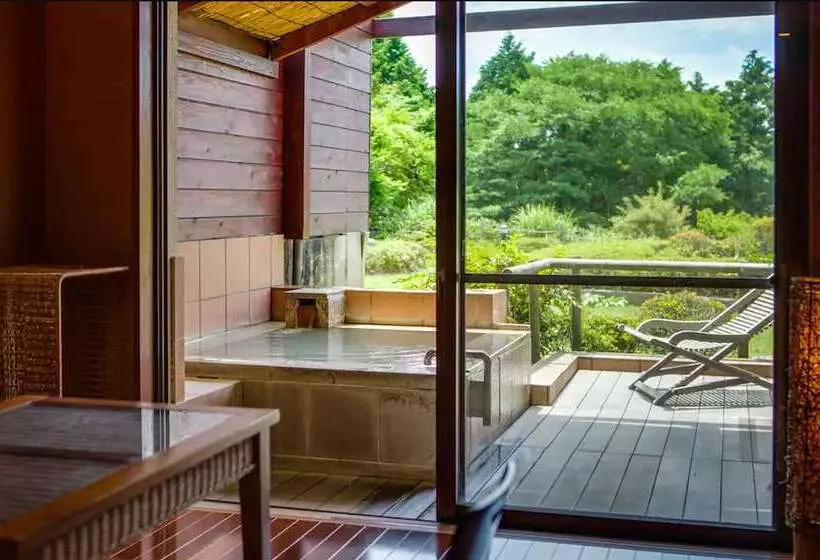 اتاق استاندارد, Green Plaza Hakone