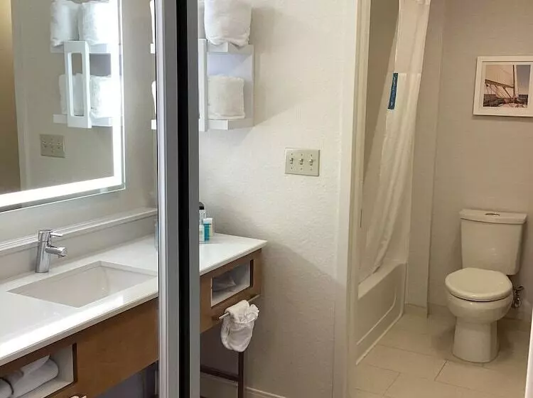 استودیوی استاندارد با تخت دوبل, Hampton Inn & Suites Miami/brickelldowntown