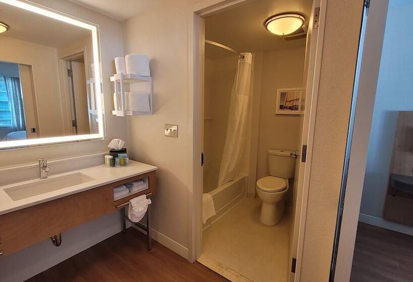 Студия Стандарт Двуспальная Кровать, Hampton Inn & Suites Miami/brickelldowntown