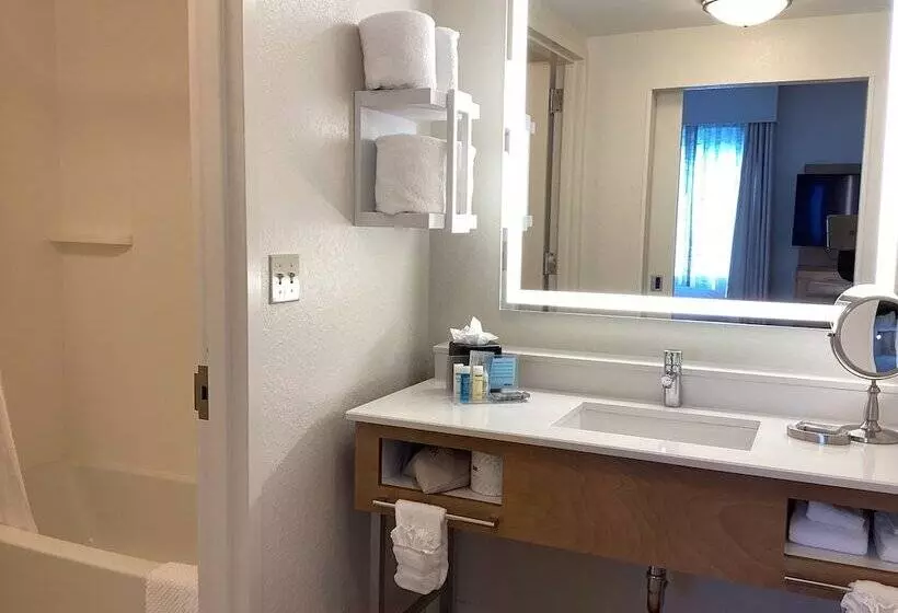 استودیوی استاندارد با تخت دوبل, Hampton Inn & Suites Miami/brickelldowntown