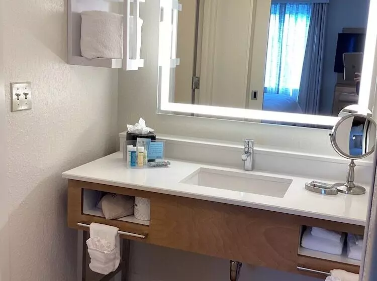 استودیوی استاندارد با تخت دوبل, Hampton Inn & Suites Miami/brickelldowntown
