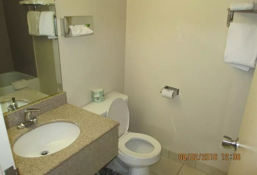 デラックスルーム, Regal Inn Chicago O Hare  Franklin Park