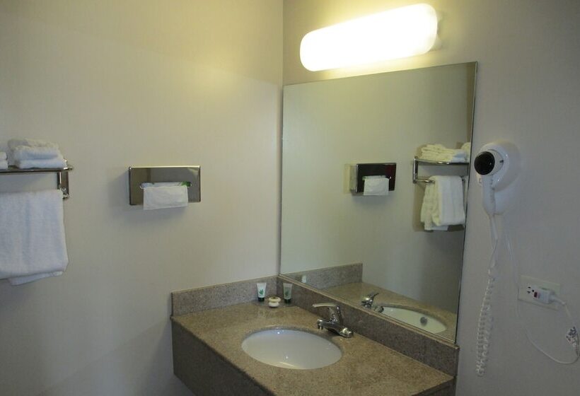 غرفة ديلوكس, Regal Inn Chicago O Hare  Franklin Park