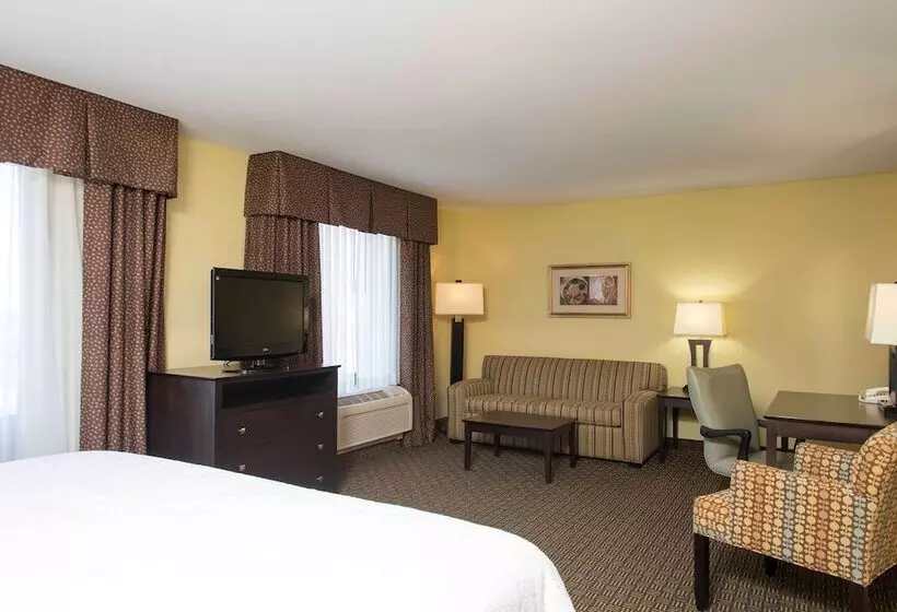 スタンダードスタジオ, Hampton Inn & Suites Danville