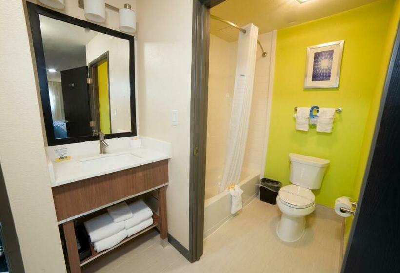 Büyük Çift Kişilik Yataklı Standart Oda, Arya Inn & Suites