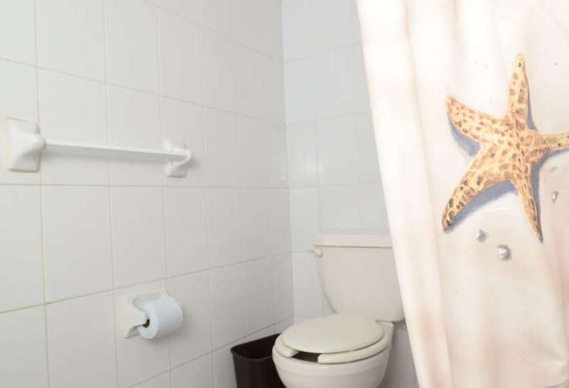 스탠다드 트리플 룸, Delfines   A 2 Calles Del Acuario Veracruz