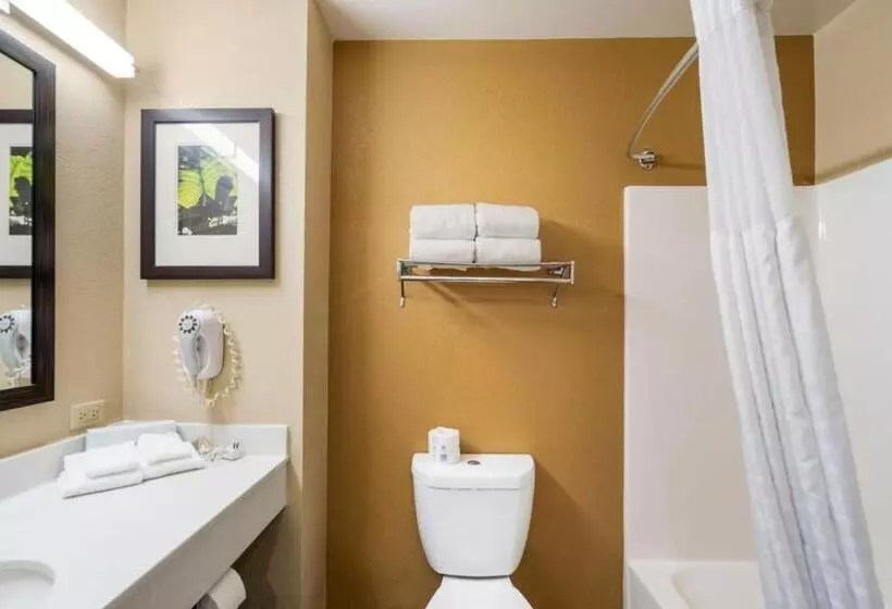 Standard-studio King-vuode, Extended Stay America Suites  Washington, D.c.  Springfield
