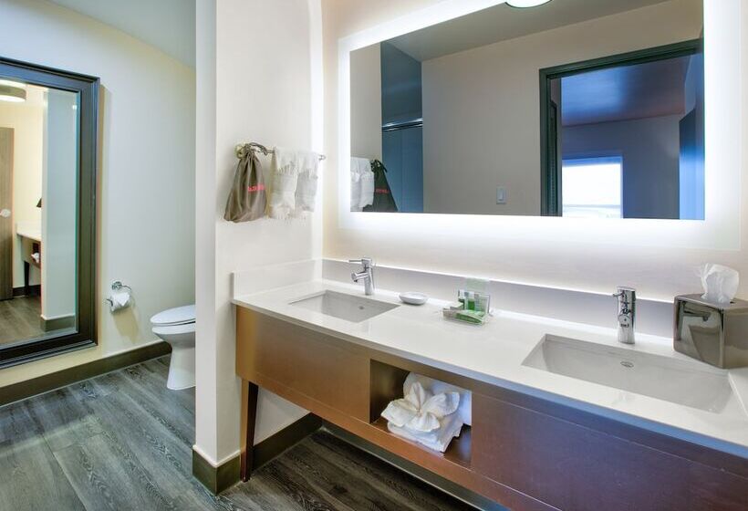 Номер Стандарт, Holiday Inn Dallas Fort Worth Airport South, An Ihg